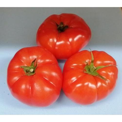 牛排番茄 -500-600克