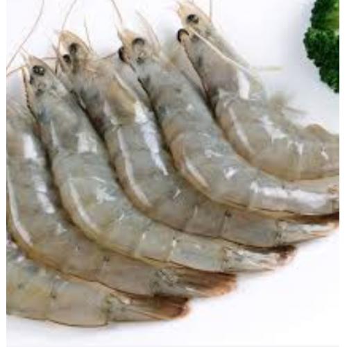 新鲜基围虾40-50 （/盒500g）
