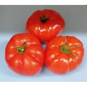 牛排番茄 -500-600克