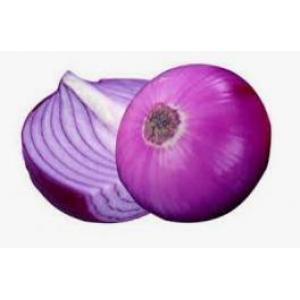 紫色洋葱-1kg