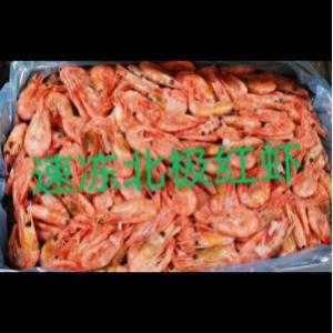 北极红虾- 500克