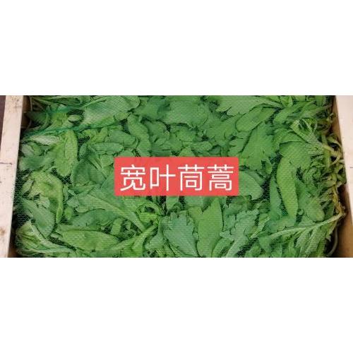 宽叶火锅菜（茼蒿）-500克