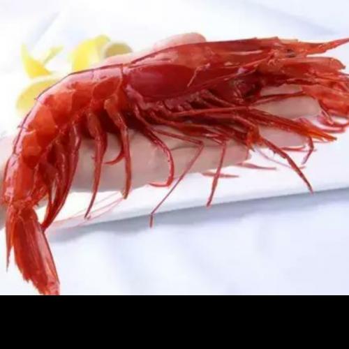 红魔虾-7只-净重800克