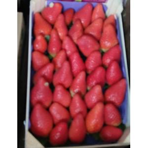 高级草莓-1公斤