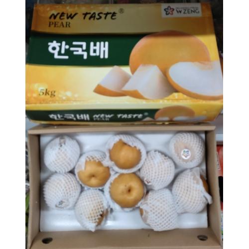 韩国靓沙梨-10粒-5公斤装
