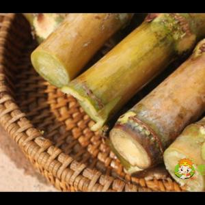 绿皮甘蔗-1kg