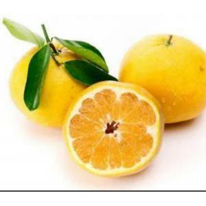 2粒爆汁葡萄柚-500-600克/粒
