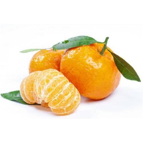 带叶小橘子-2公斤