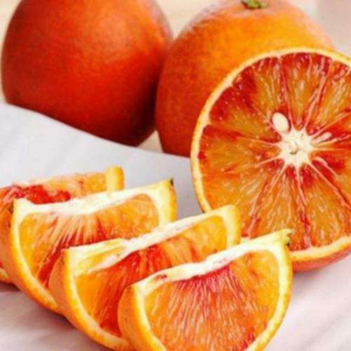 血橙-1 公斤