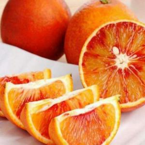 血橙-1 公斤