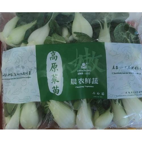 空运白菜苗（斗白苗）-250克