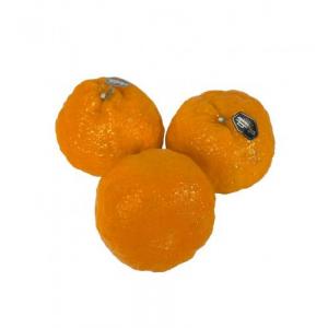 西班牙丑橘-1 公斤