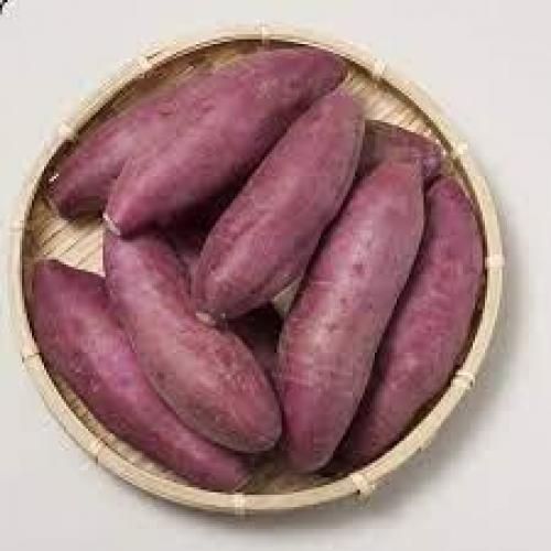 Kimson 日本甘薯（紫薯）-500克