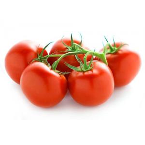 带茎番茄 西红柿 1箱 约5kg