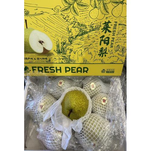 莱阳梨-2 粒