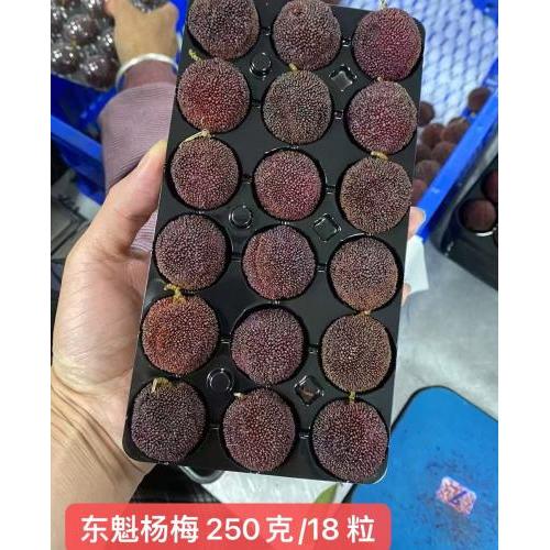 空运东魁杨梅-250 克（18 粒装）
