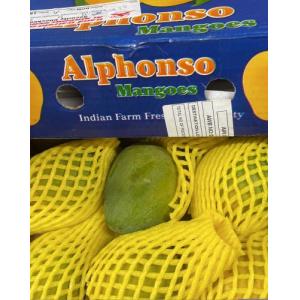 印度 Alphonso芒果-6 粒/箱