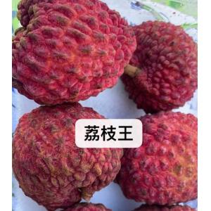 空运荔枝王荔枝-400克