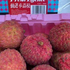 仙进奉荔枝-450 克