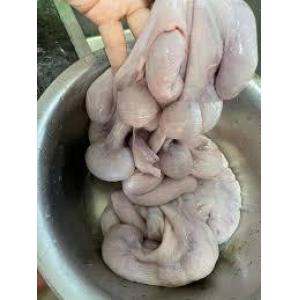 猪生肠 1公斤（冻）