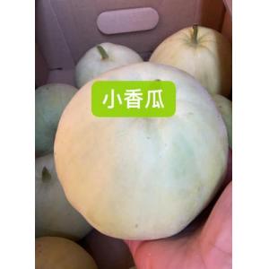 小香瓜 500 克（按实际重量计算）