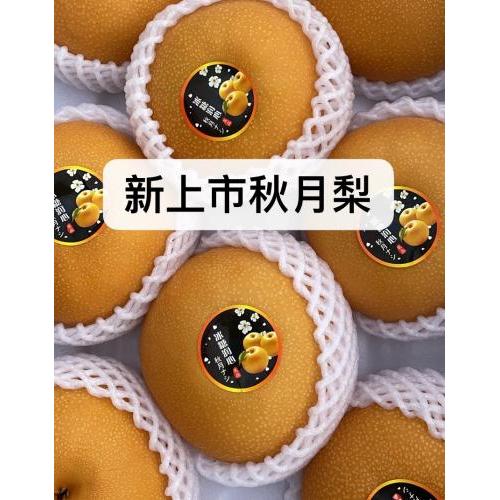 秋月梨-2 粒（约 560-600 克/粒）