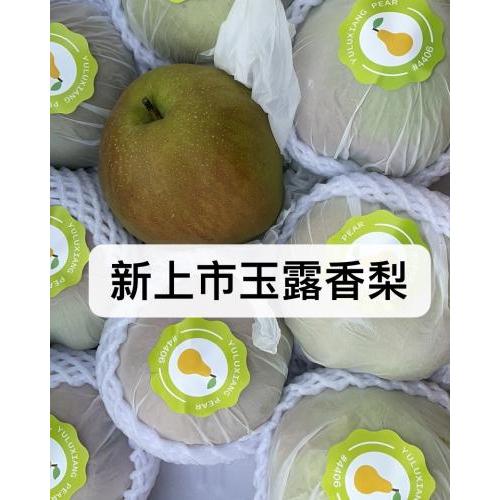 玉露香梨-3 粒