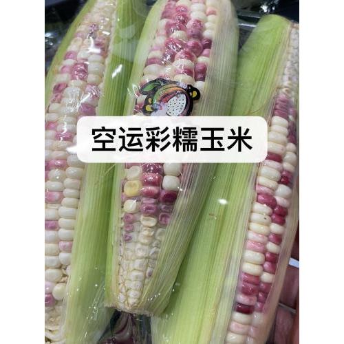 泰国空运彩糯玉米-3 个装