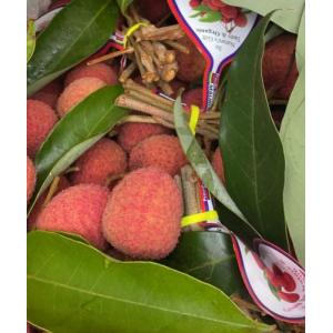 新鲜带叶带枝荔枝-500 克