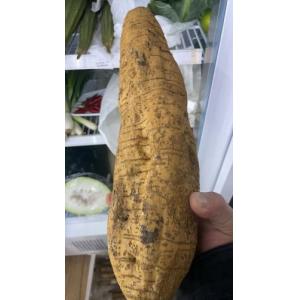 新鲜粉葛- 500-600克