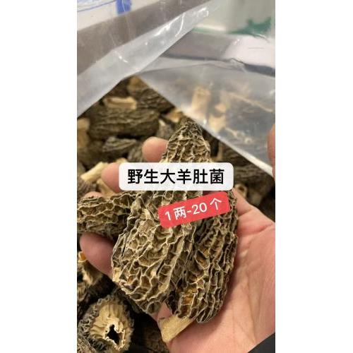 大野生羊肚菌-100 克