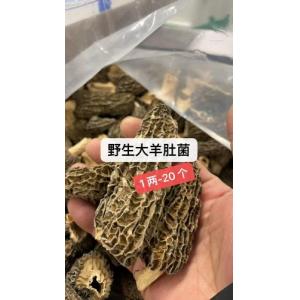 大野生羊肚菌-100 克