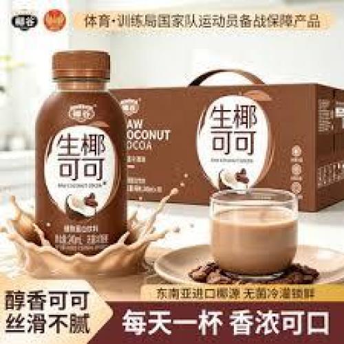 椰果生椰可可240ml