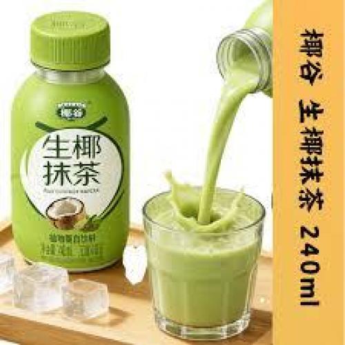 椰果生椰抹茶 240 ml